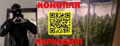 мет Моздок