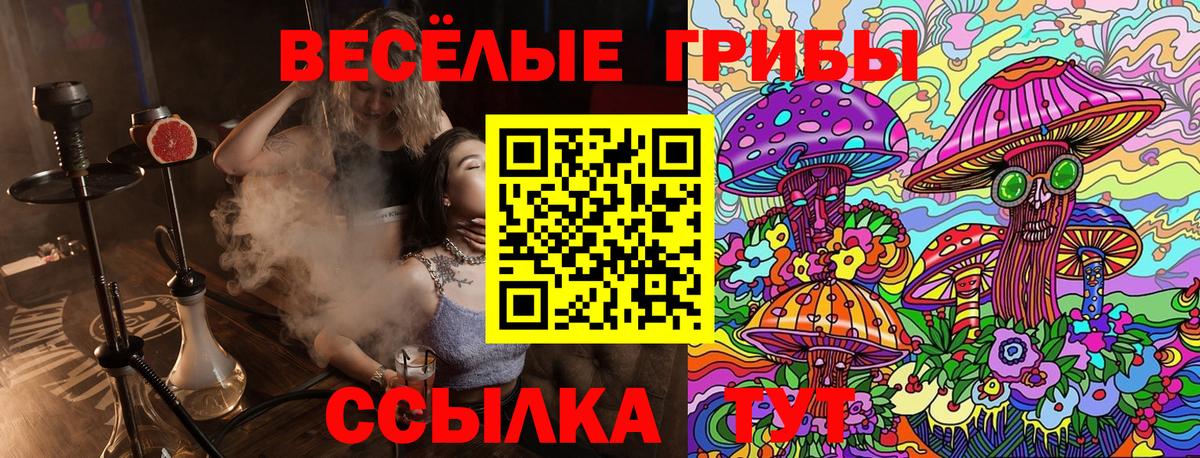 Галлюциногенные грибы GOLDEN TEACHER  Вход с VPN  продажа наркотиков  Южноуральск  Галлюциногенные грибы мицелий 